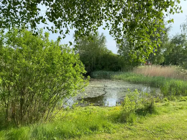 Bild 35 von 36