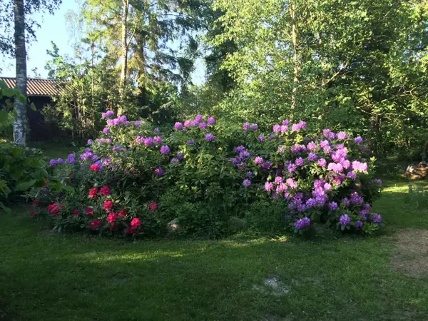 Bild 28 von 37