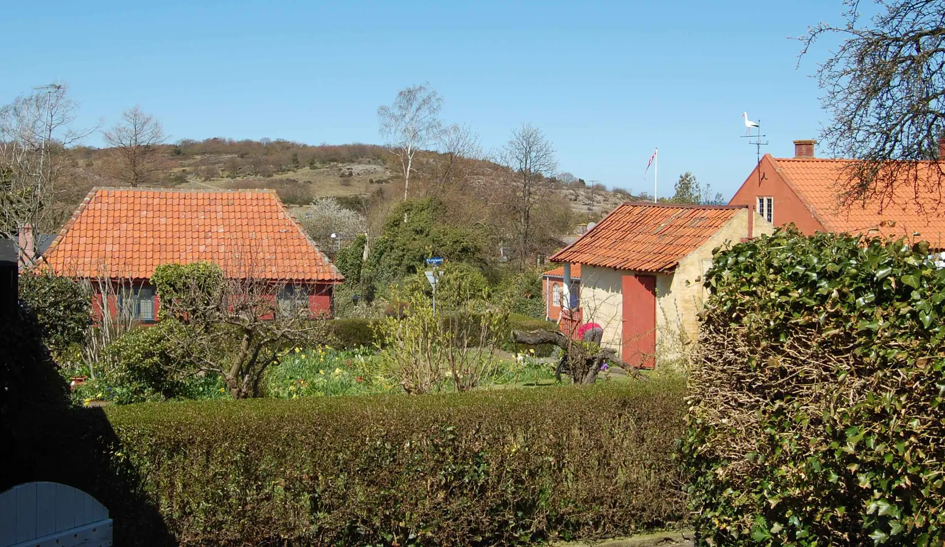 Bild 15 von 29