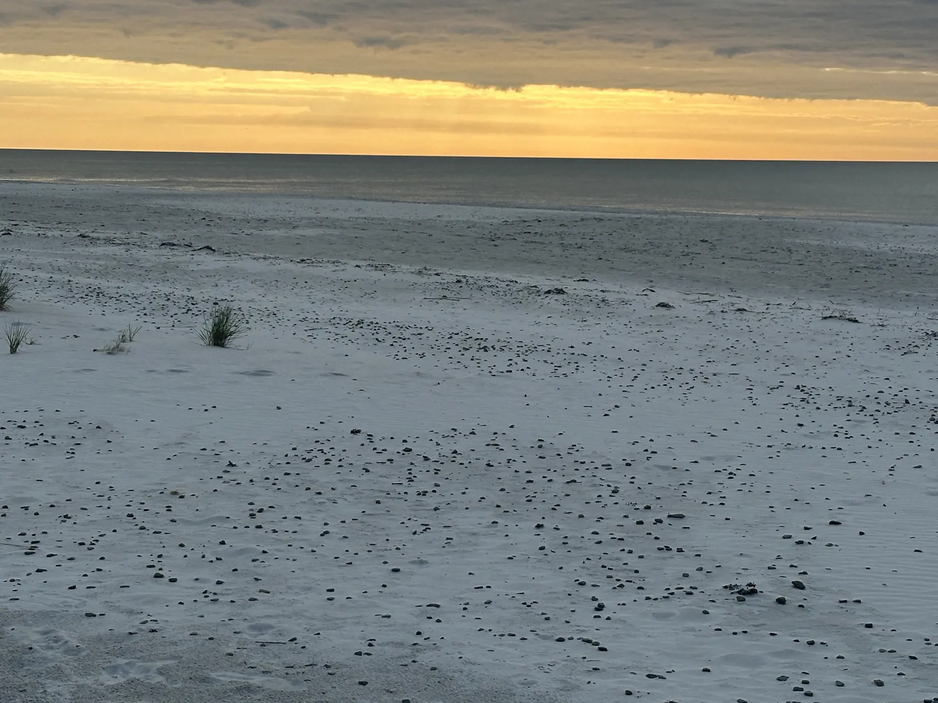 Bild 35 von 37