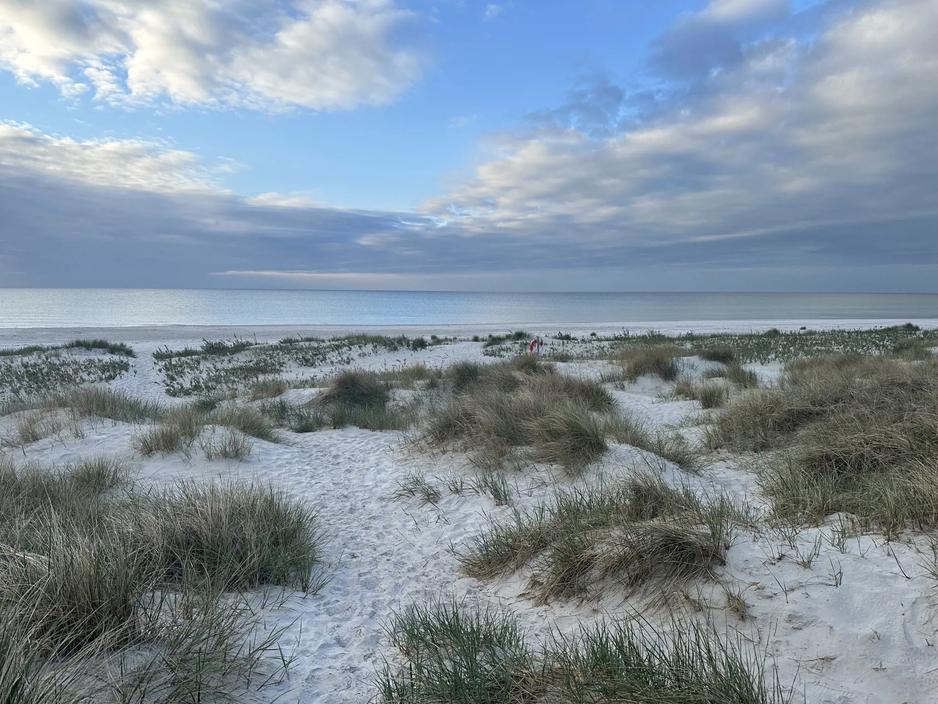 Bild 36 von 37
