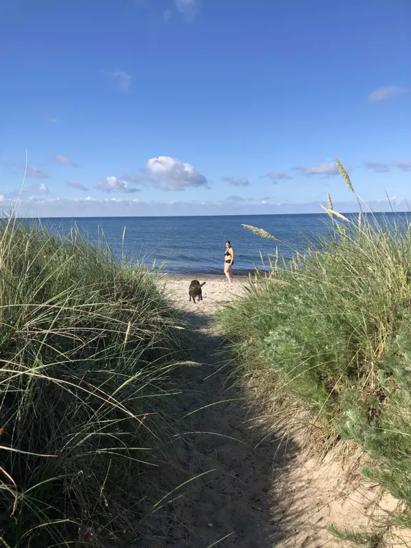 Bild 27 von 46