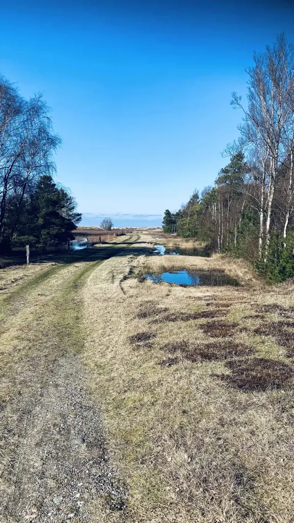 Bild 37 von 37