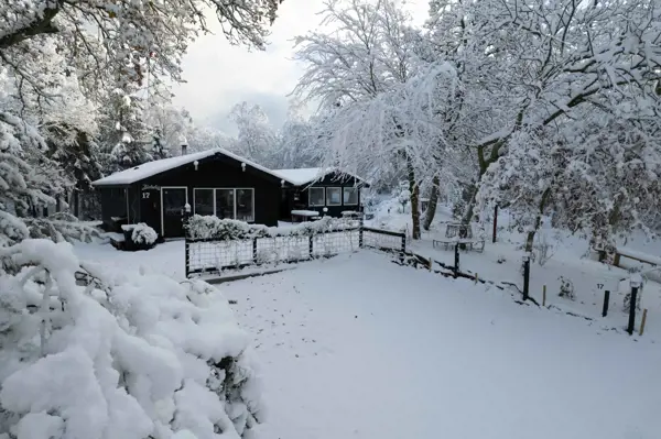 Bild 3 von 51