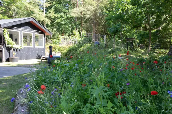 Bild 34 von 51