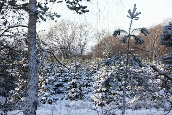 Bild 48 von 51