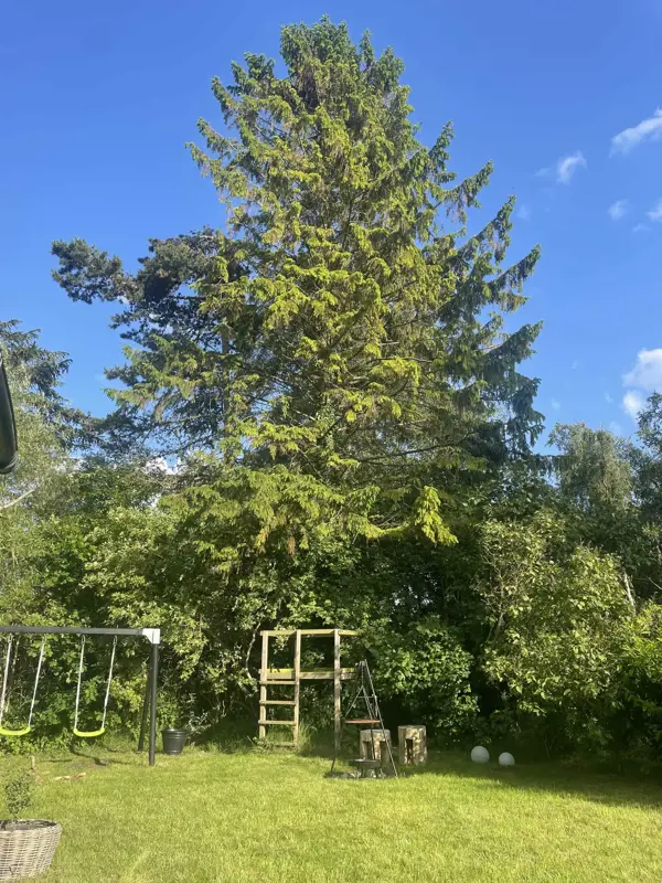 Bild 28 von 31