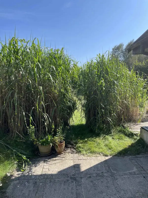 Bild 23 von 29