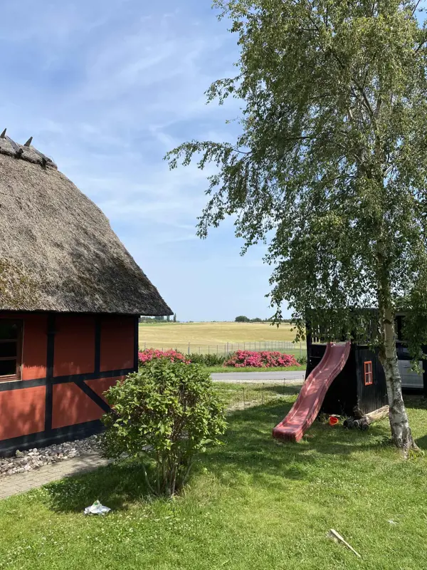 Bild 14 von 16