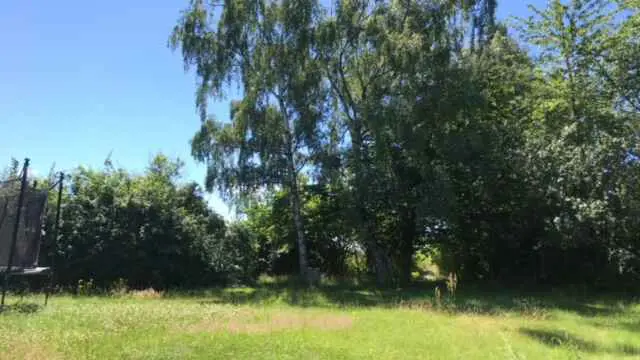 Bild 23 von 31