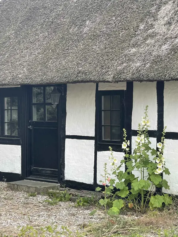 Ferienhaus 158365 in Rødby / Lolland