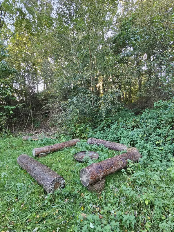 Bild 31 von 33
