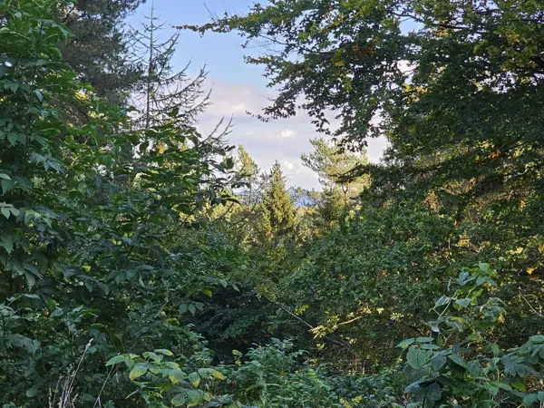 Bild 32 von 33