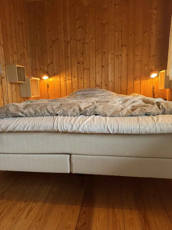 Bild 14 von 38