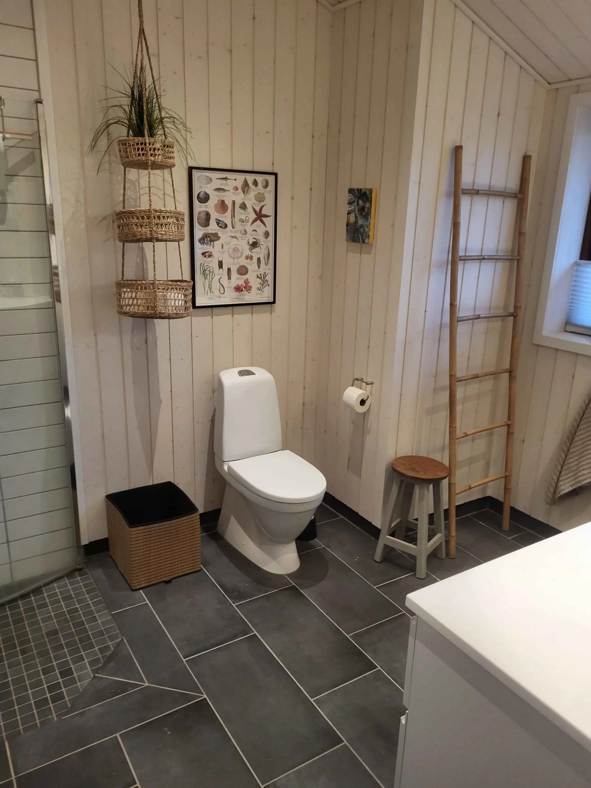 Bild 18 von 19
