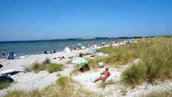 Bild 49 von 83