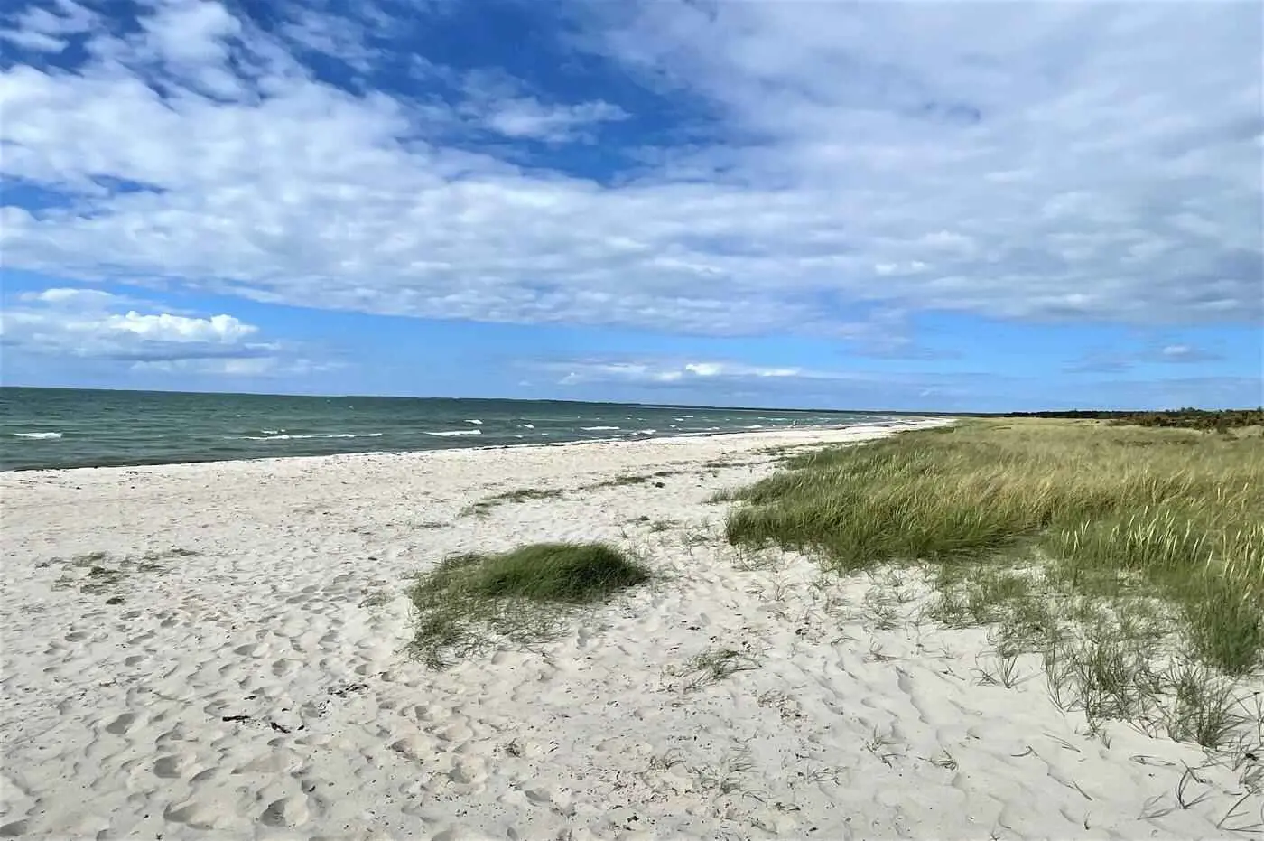 Bild 54 von 83