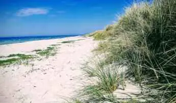 Bild 55 von 83