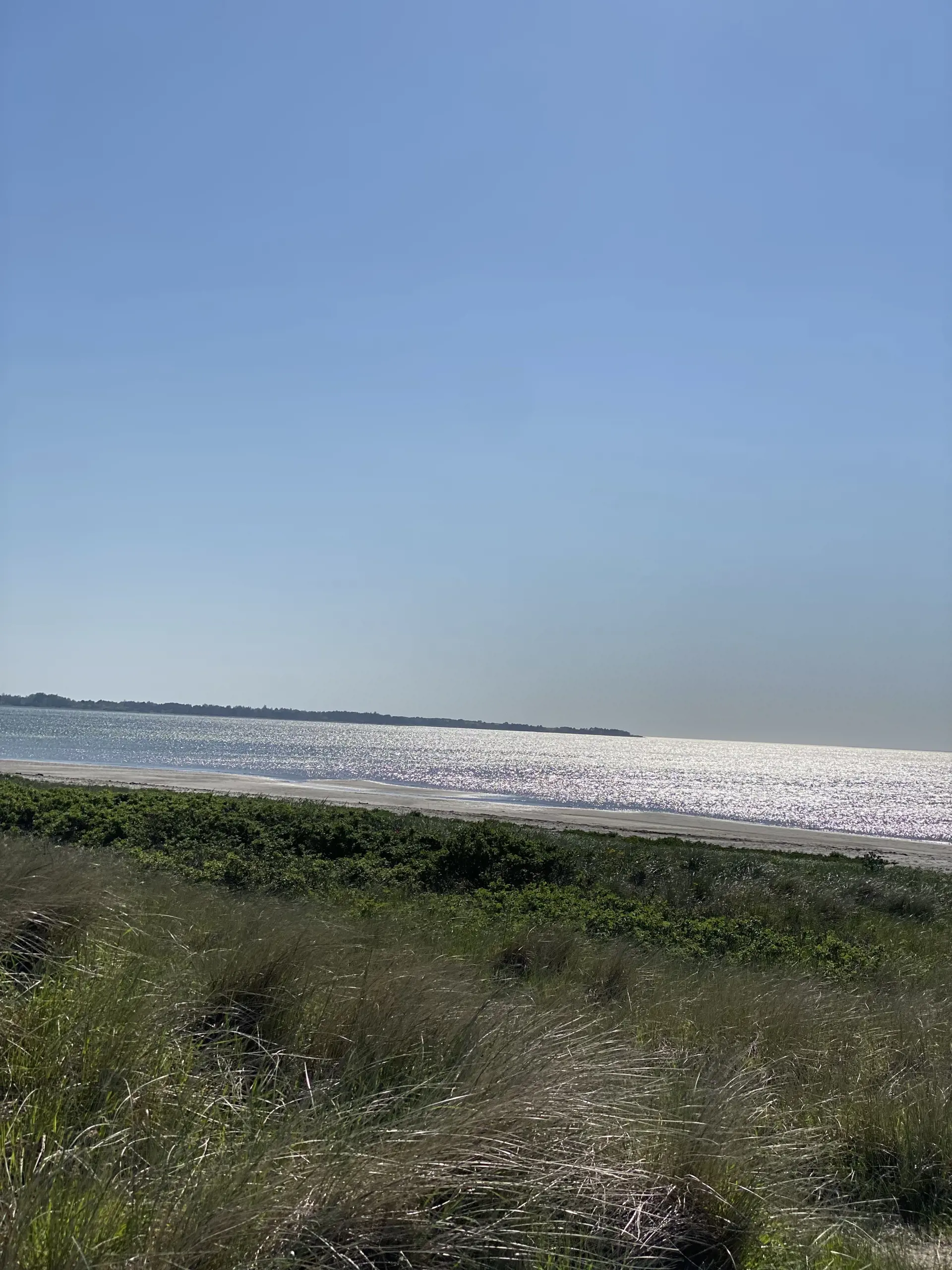 Bild 28 von 29