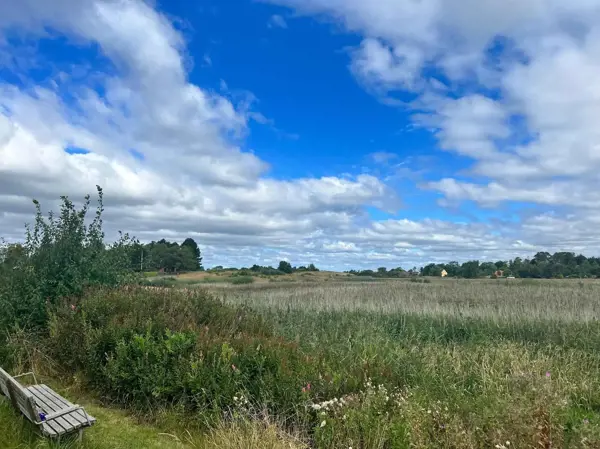 Bild 30 von 31