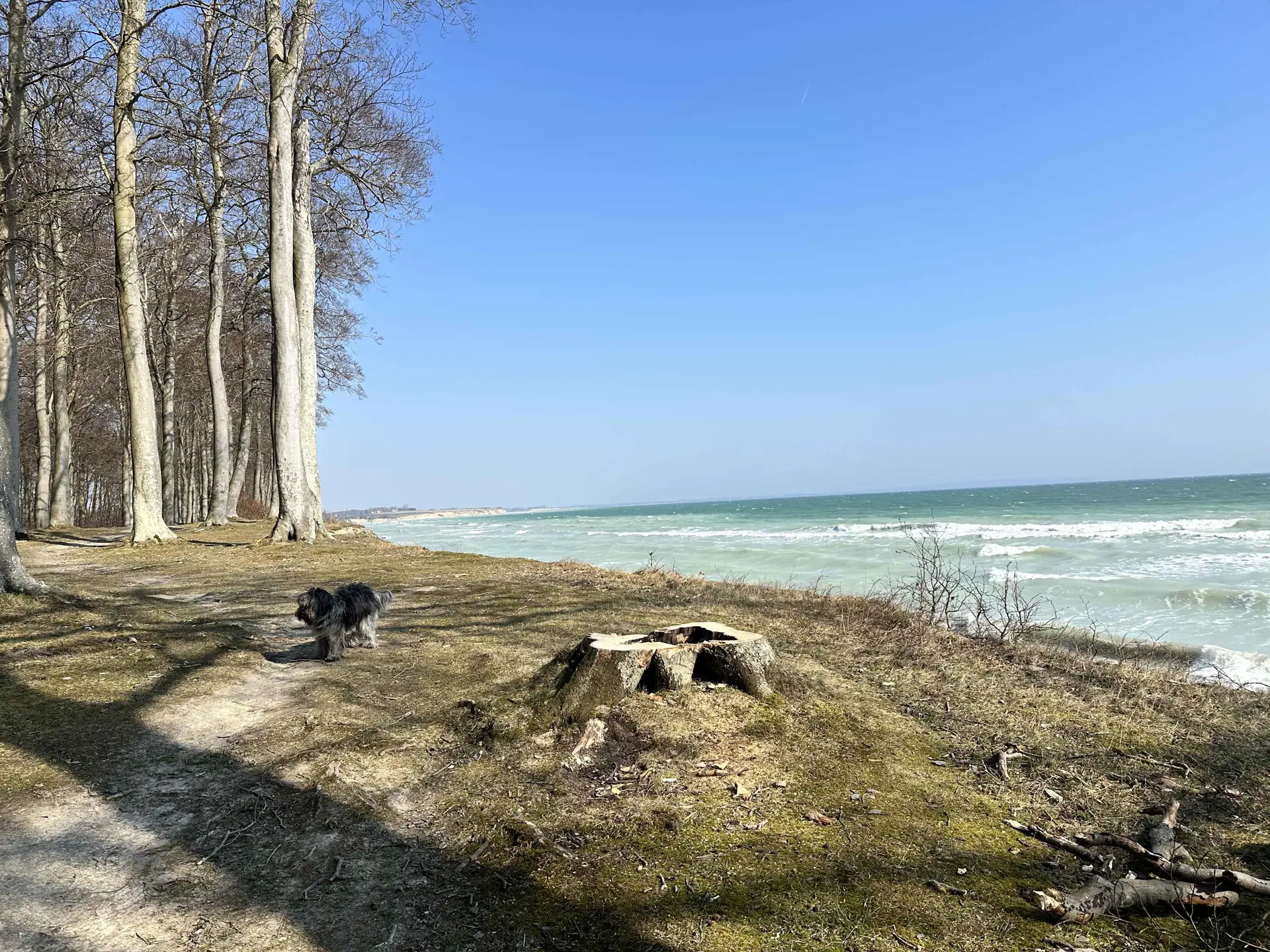 Bild 27 von 28