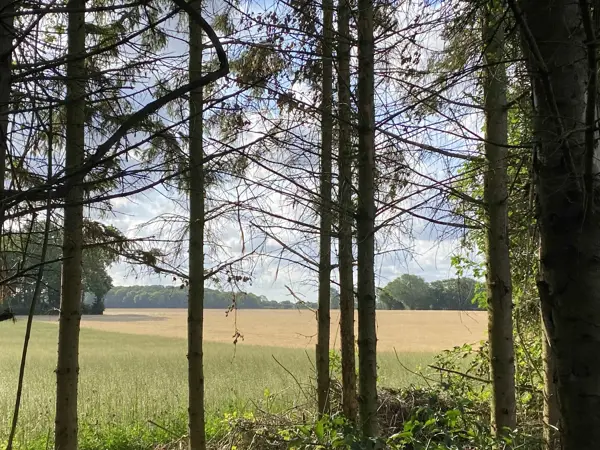 Bild 36 von 38