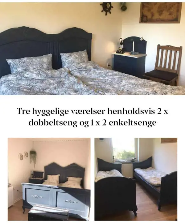 Bild 3 von 19
