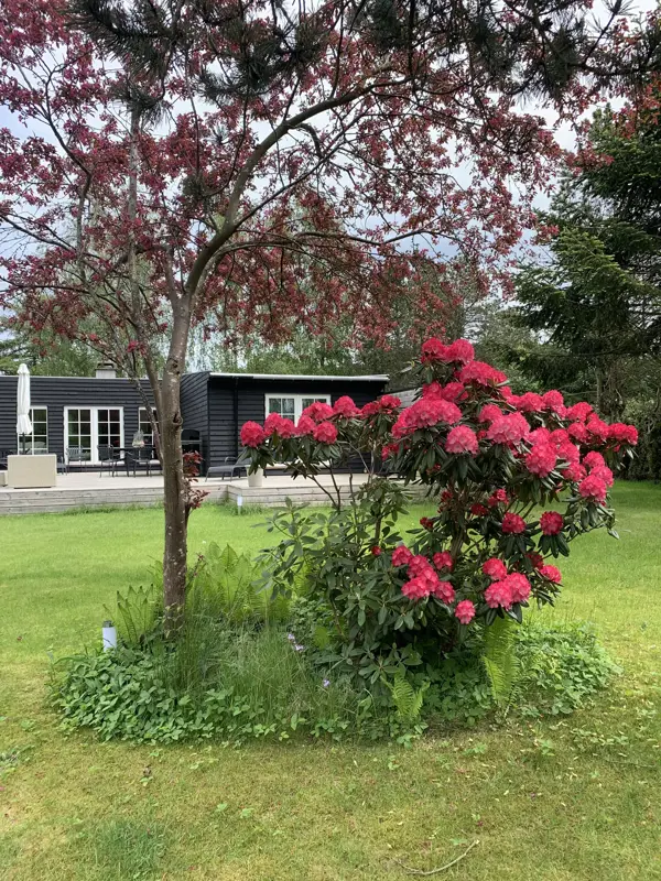 Bild 32 von 33