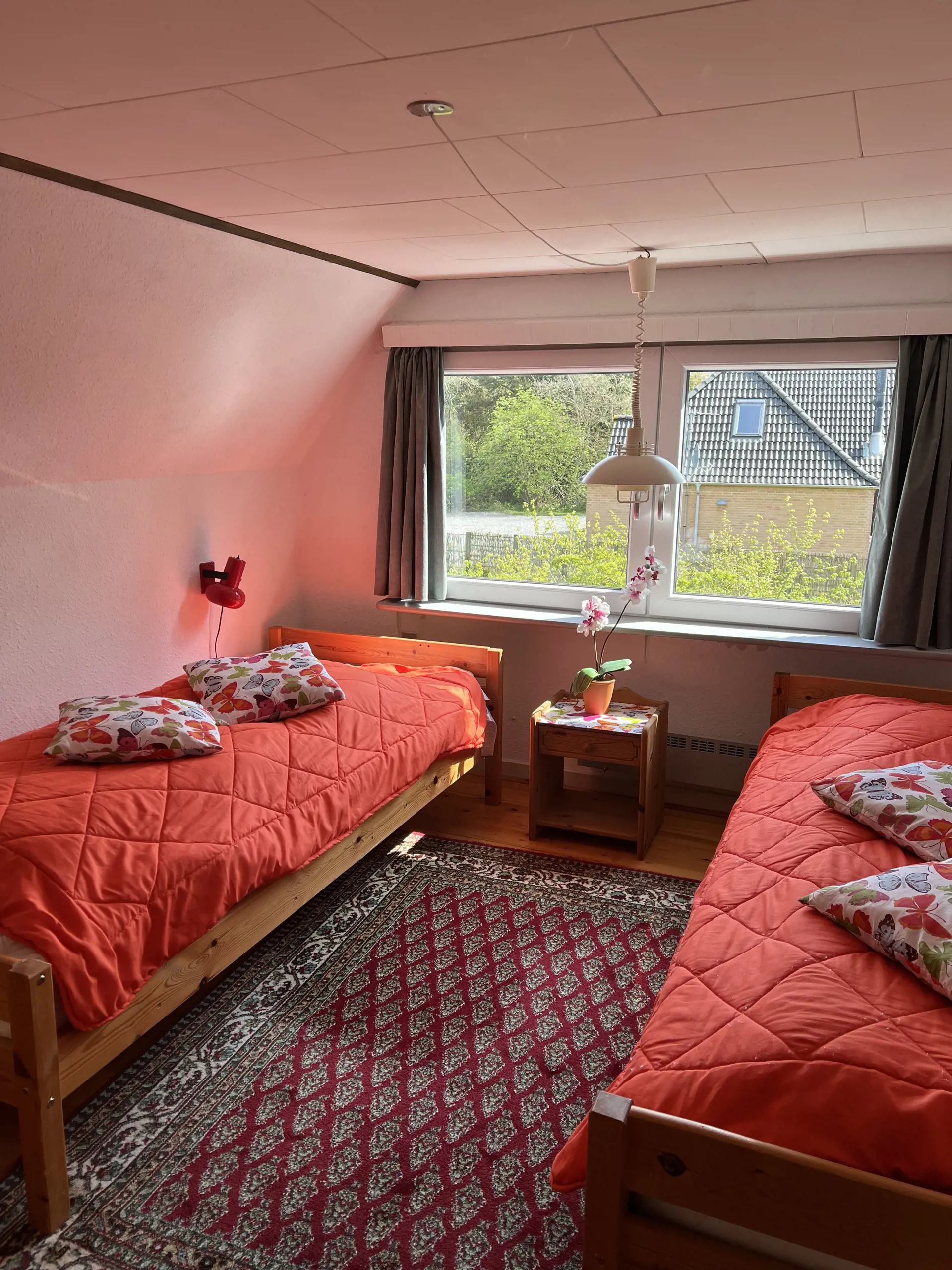 Bild 12 von 12