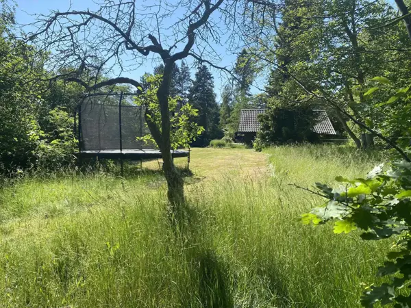 Bild 4 von 24