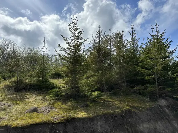 Bild 25 von 26