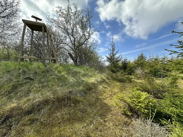 Bild 26 von 26