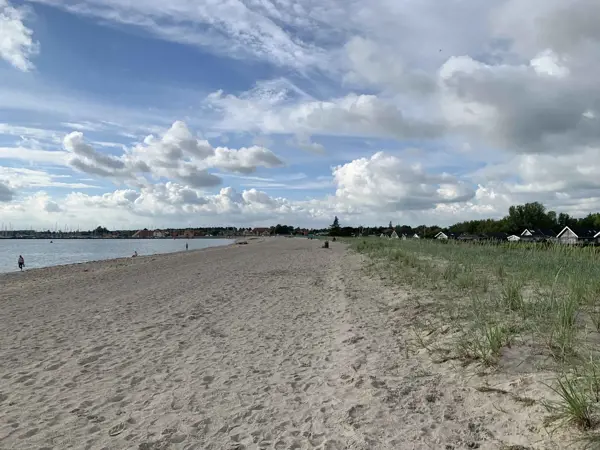Bild 19 von 39