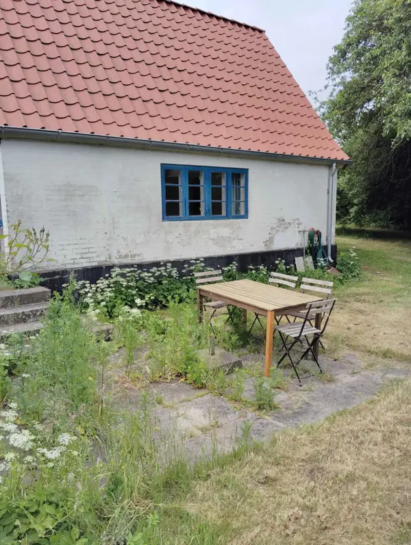 Ferienhaus 172883 in Leby - Skovby / Ærø