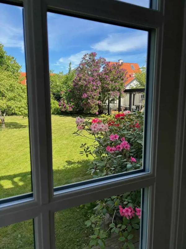 Bild 8 von 30