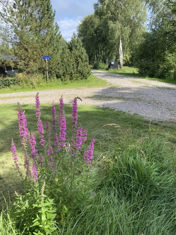 Bild 25 von 49