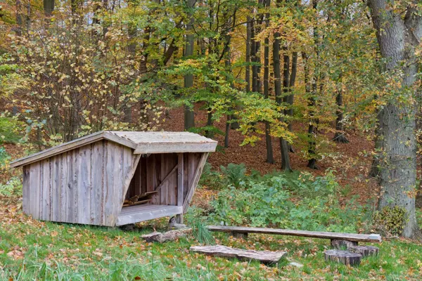 Bild 23 von 41