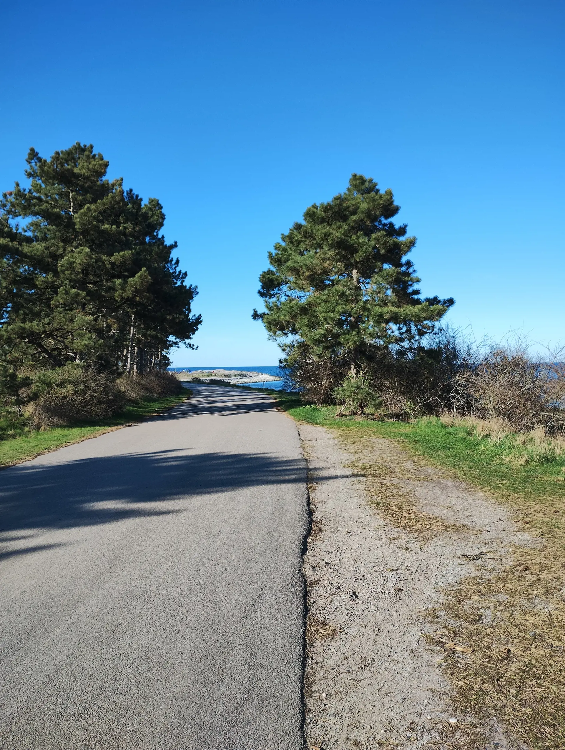 Bild 50 von 64