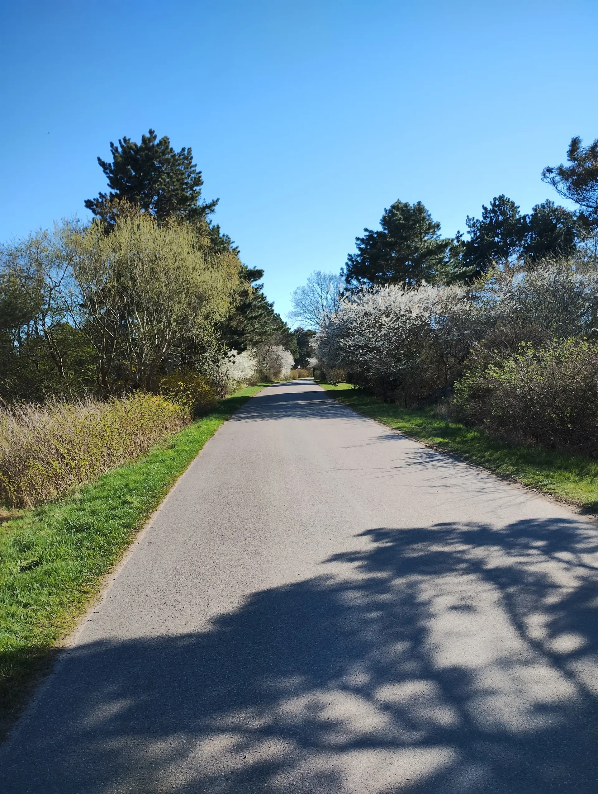 Bild 51 von 64