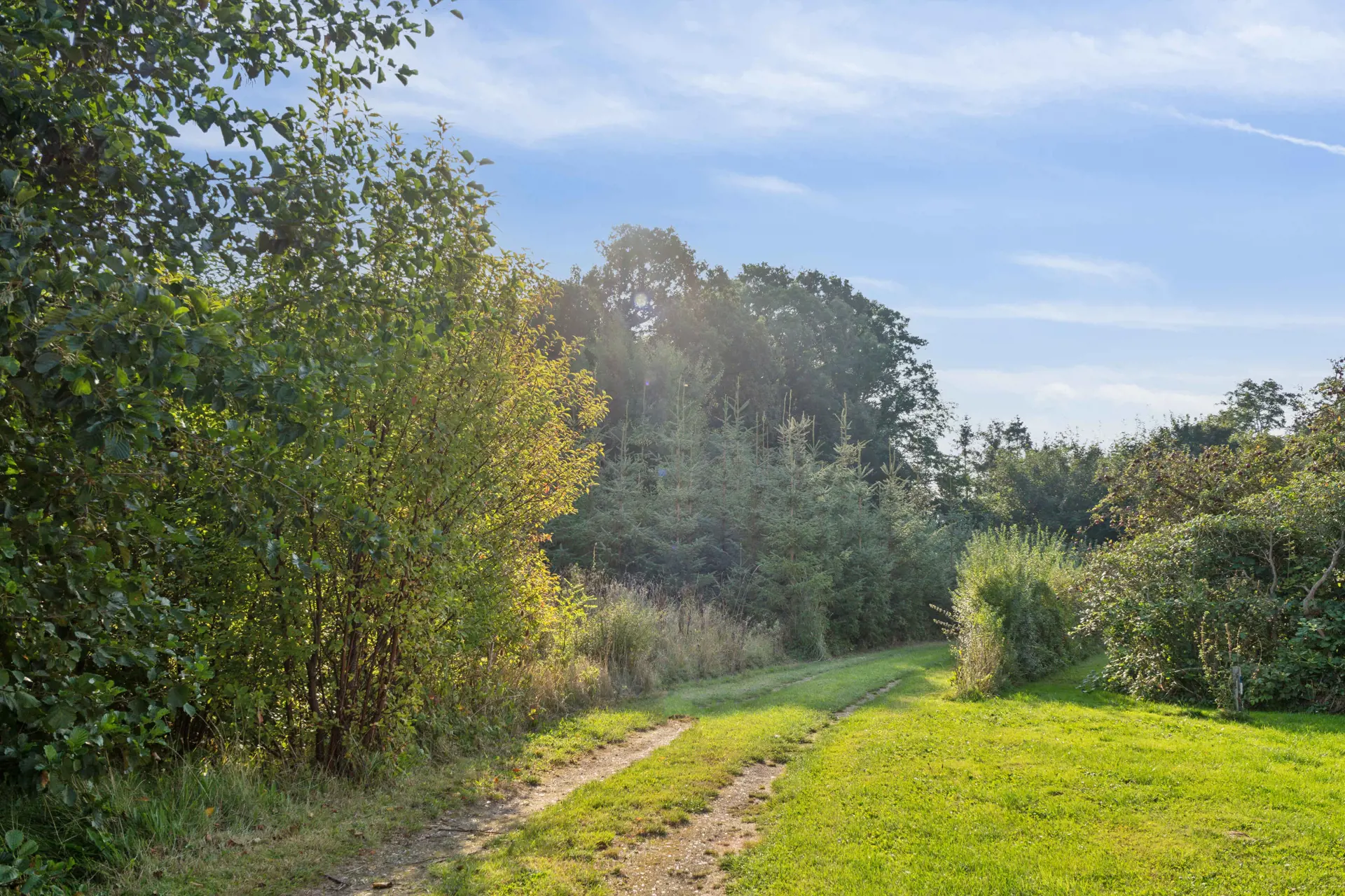 Bild 19 von 25