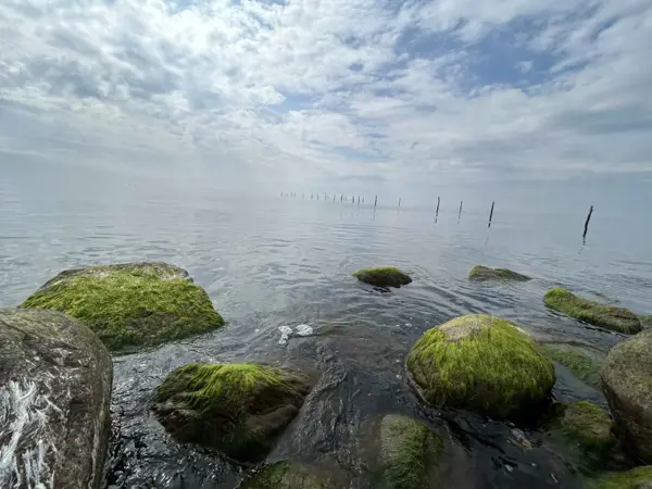 Bild 29 von 34