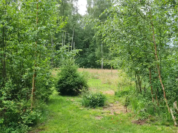 Bild 20 von 23