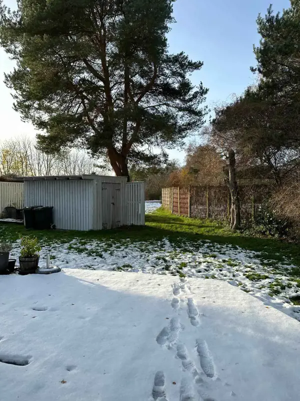 Bild 16 von 19