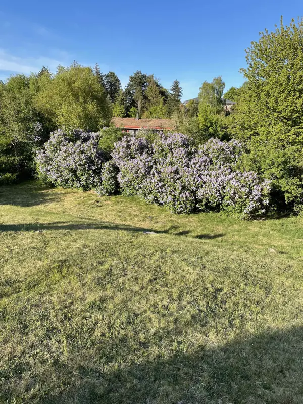 Bild 16 von 19