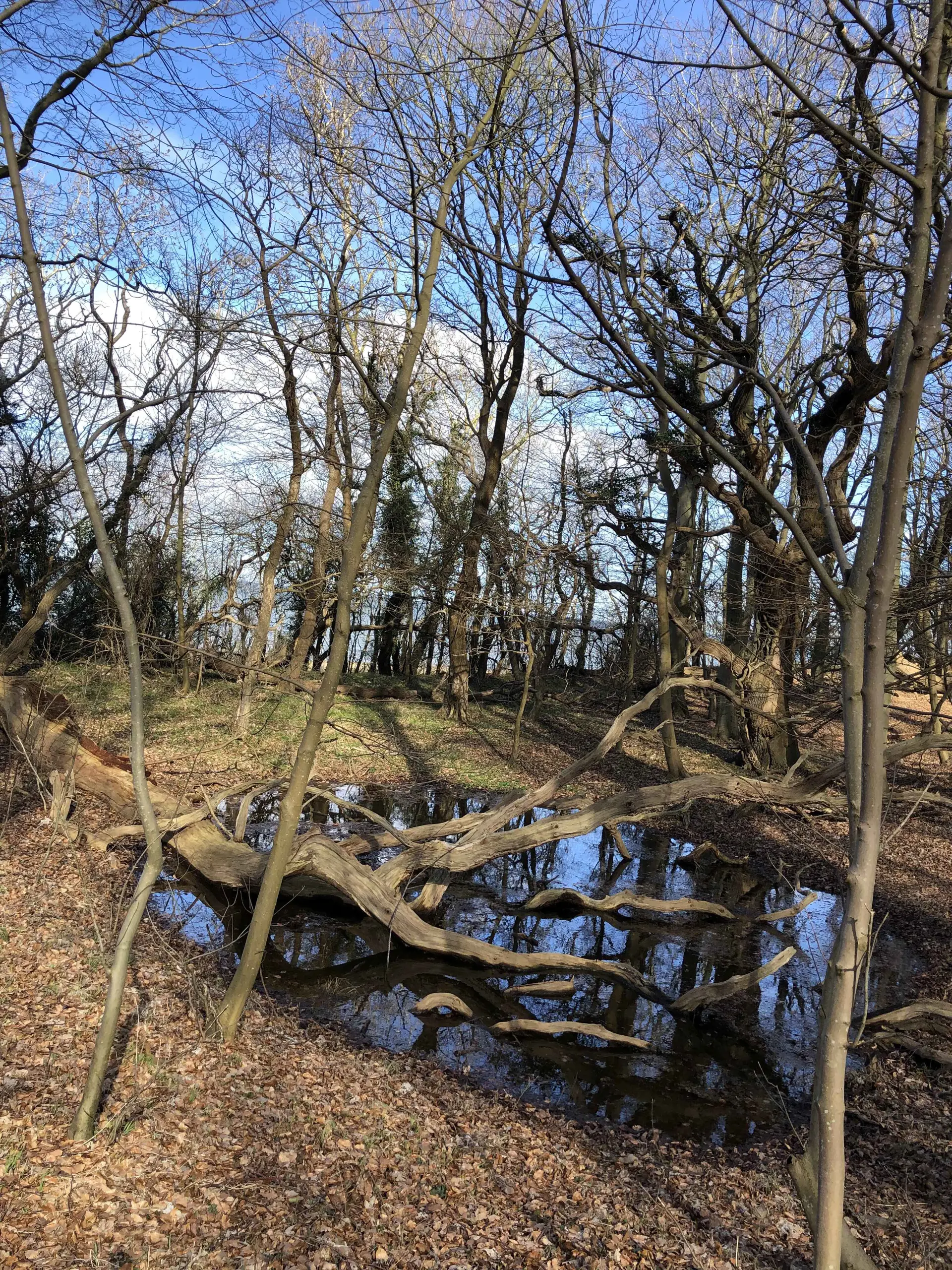 Bild 33 von 40