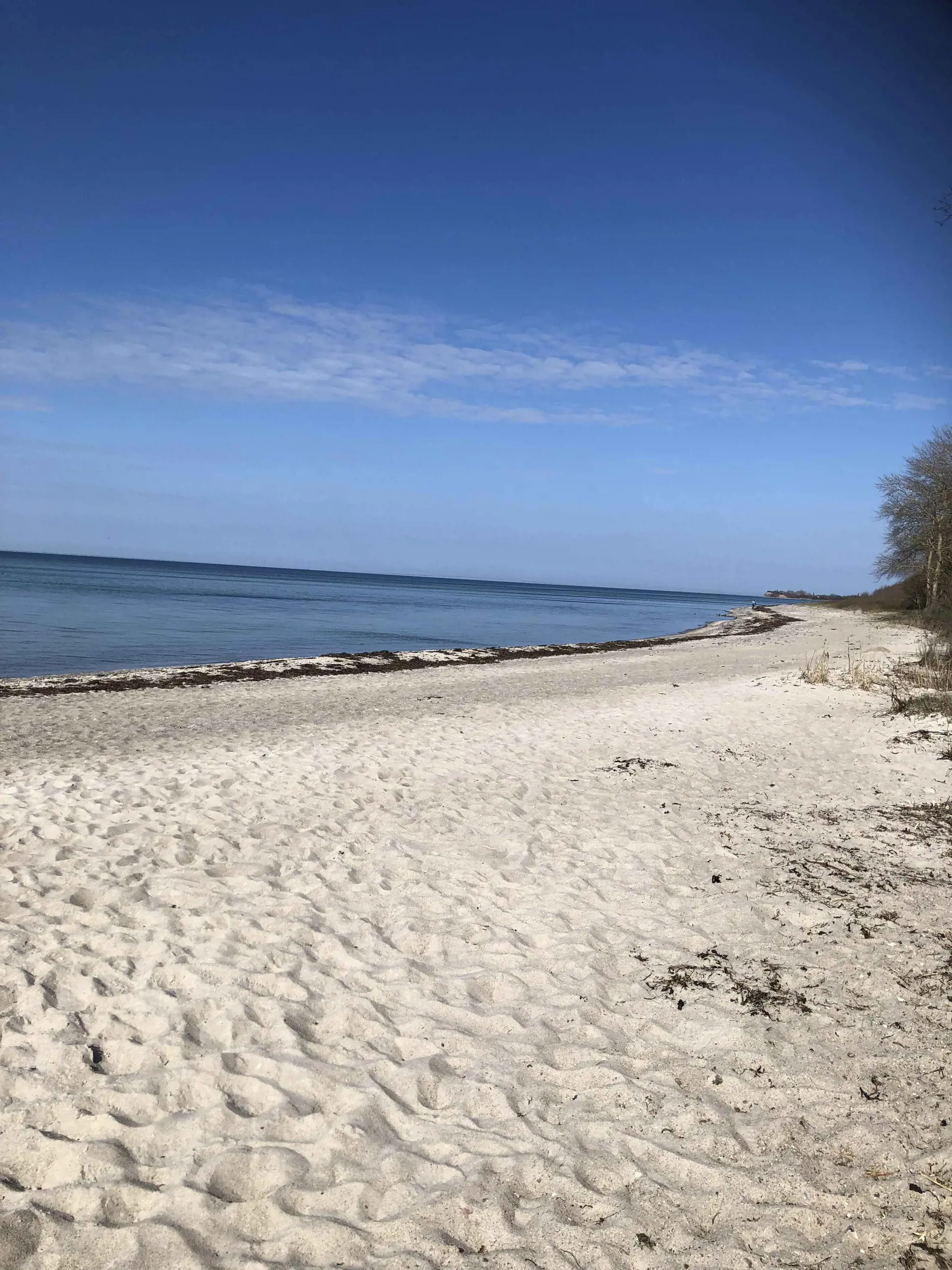 Bild 35 von 40