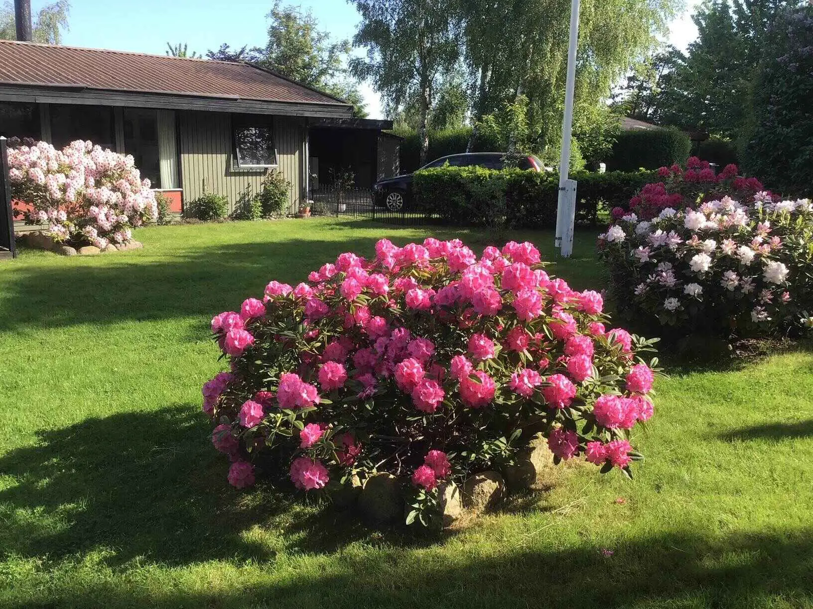 Bild 25 von 33