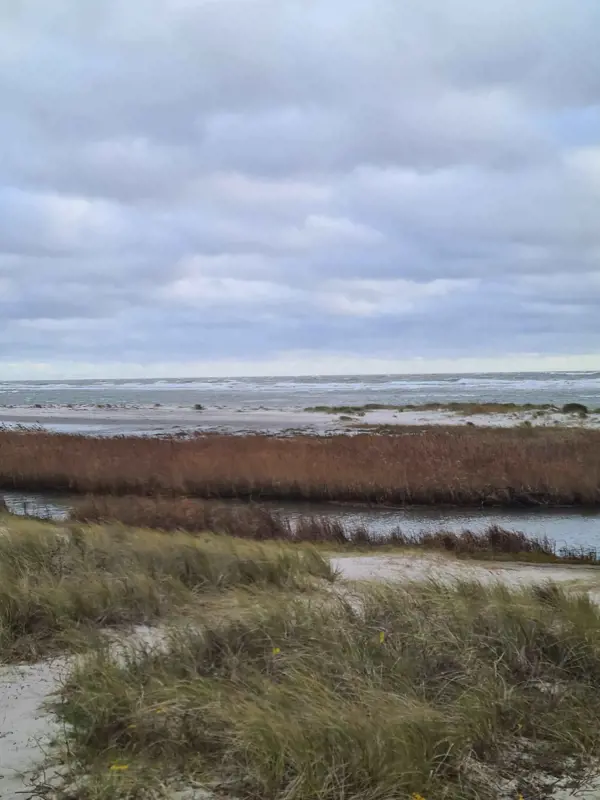 Bild 34 von 36