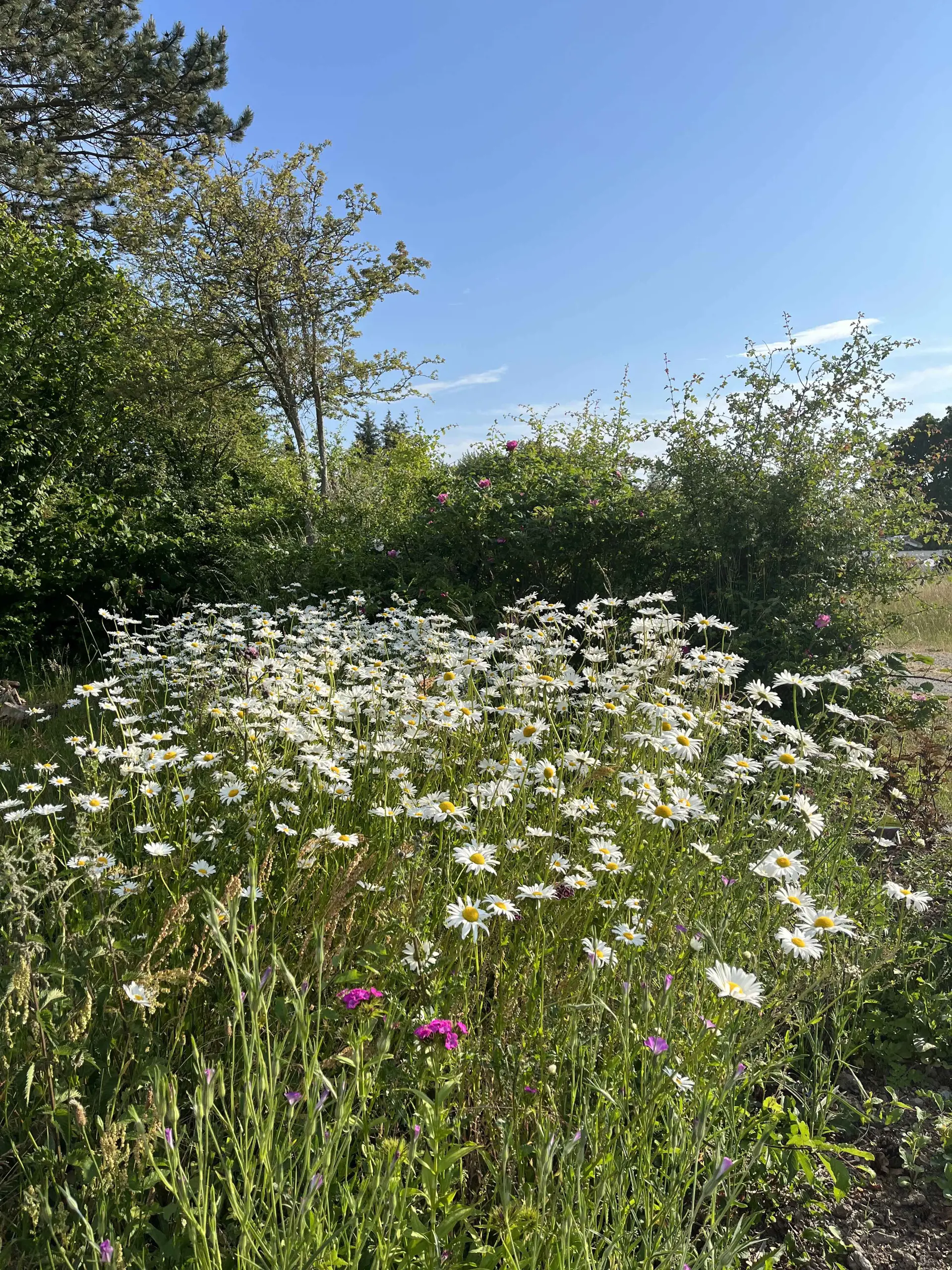 Bild 36 von 44