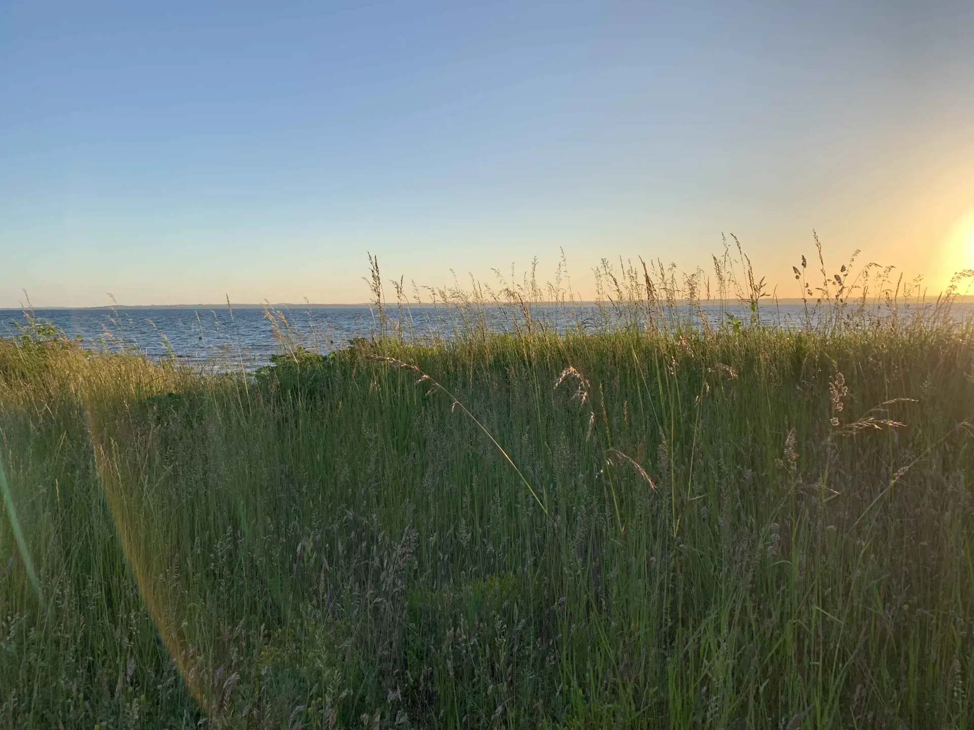 Bild 38 von 44